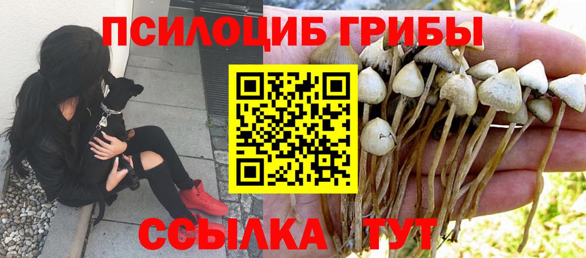 Галлюциногенные грибы MAGIC MUSHROOMS Орёл