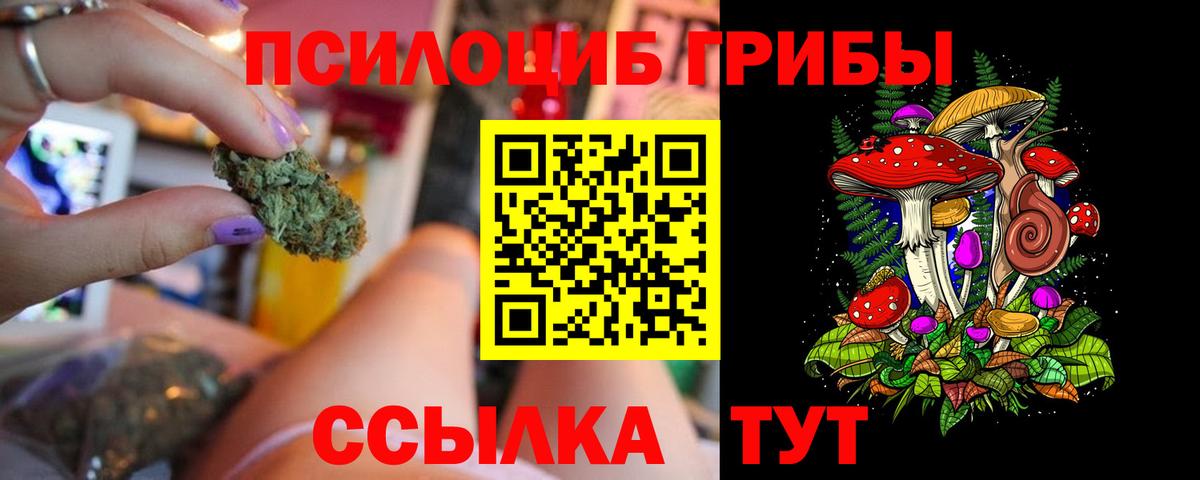 сколько стоит  Псилоцибиновые грибы Psilocybe  Вход с VPN  Орёл 